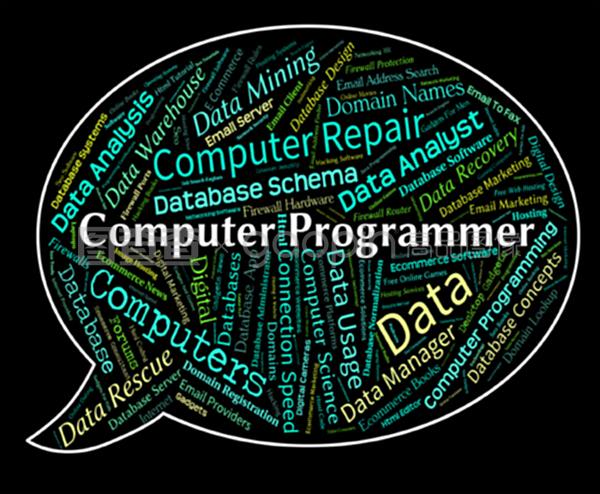 計算機程序員是指軟件工程師和通信人員
