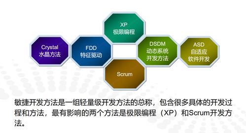 軟件工程期末復(fù)習(xí)總結(jié)（六） 軟件測(cè)試、維護(hù)與敏捷開(kāi)發(fā)核心要義