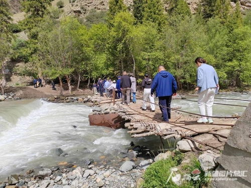 昭蘇縣濕地生態保護成效顯著，動植物種群數量穩步擴大