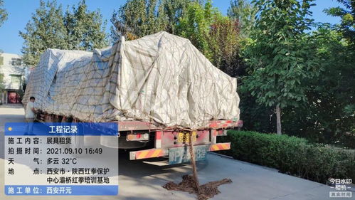 開(kāi)元展覽 環(huán)保展具跨越山海，綠色理念扎根新疆